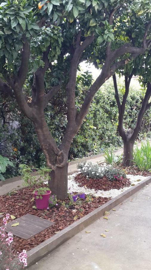 Lovely House Cagnes-sur-Mer Esterno foto